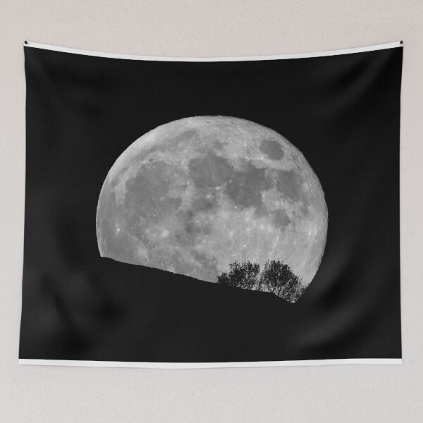 Item preview, Full Moon Rising Behind Trees designed and sold by Susan Snow Photography and Design.