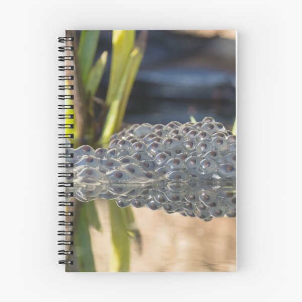 Item preview, Frog Spawn designed and sold by LaurenTucker.