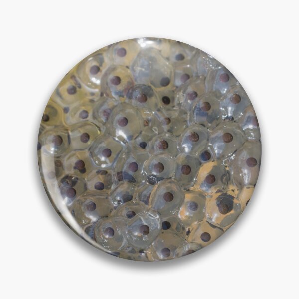 Item preview, Frog Spawn designed and sold by LaurenTucker.