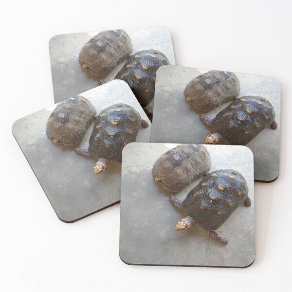 Item preview, Shell Mates designed and sold by Yesskathe.