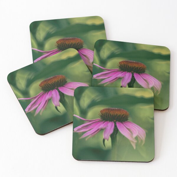 Item preview, Purple Coneflower | Echinacea purpurea in Summer Light designed and sold by kngfrank.