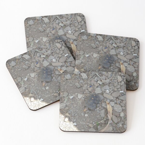 Item preview, Turtle Among Rubble designed and sold by Yesskathe.