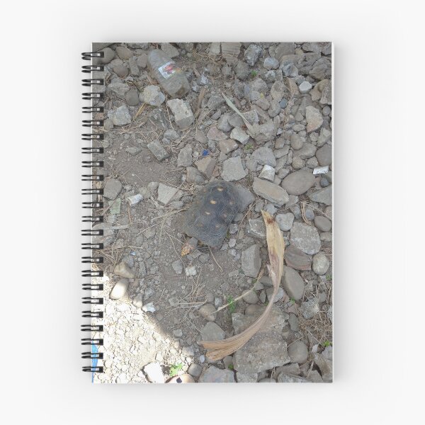 Item preview, Turtle Among Rubble designed and sold by Yesskathe.