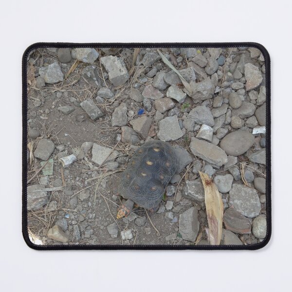 Item preview, Turtle Among Rubble designed and sold by Yesskathe.