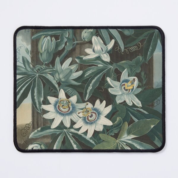 Item preview, Vintage Blue Passion-flower Print, 1799-1807, Robert John Thornton designed and sold by Douglas E. Welch Design and Photography.