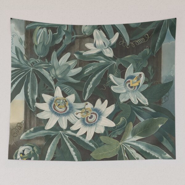 Item preview, Vintage Blue Passion-flower Print, 1799-1807, Robert John Thornton designed and sold by Douglas E. Welch Design and Photography.