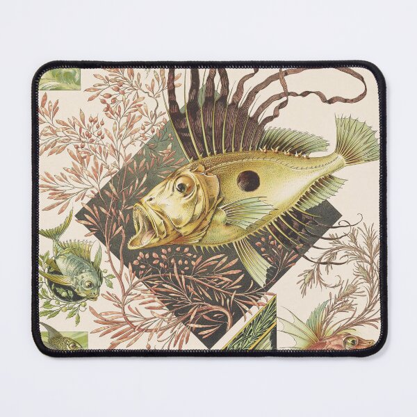 Item preview, The Animal in Decorative Art by Anton Seder (1896) From Das Thier in der Dekorativen Kunst designed and sold by Weird Visions.