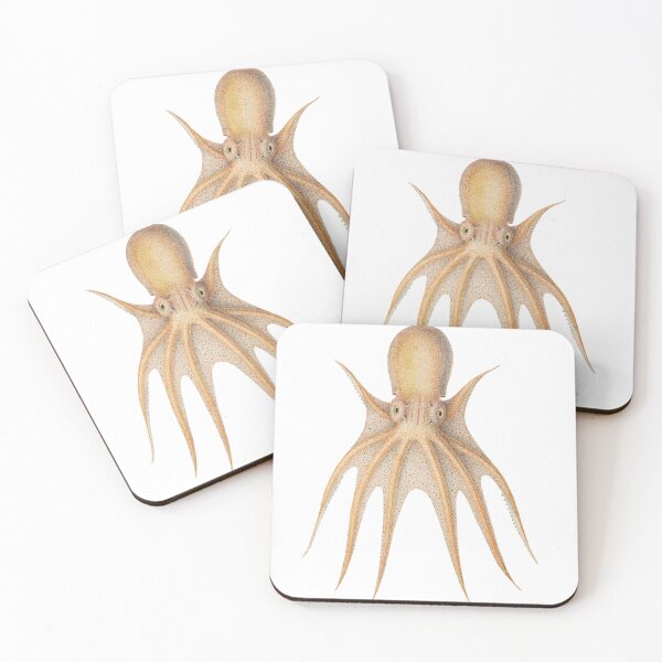 Item preview, Octopus (Tetracirrhus) by Jean Baptiste Vérany (1851)  designed and sold by Weird Visions.