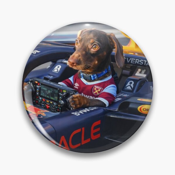Item preview, Rolo a chocolate tan miniature dachshund driving a F1 red bull car with a west ham t shirt  designed and sold by Stephen Chambers.