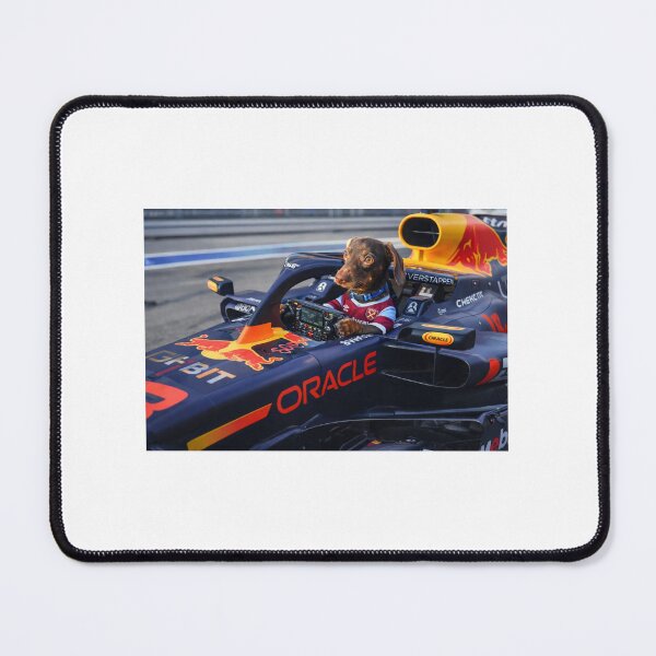 Item preview, Rolo a chocolate tan miniature dachshund driving a F1 red bull car with a west ham t shirt designed and sold by Stephen Chambers.