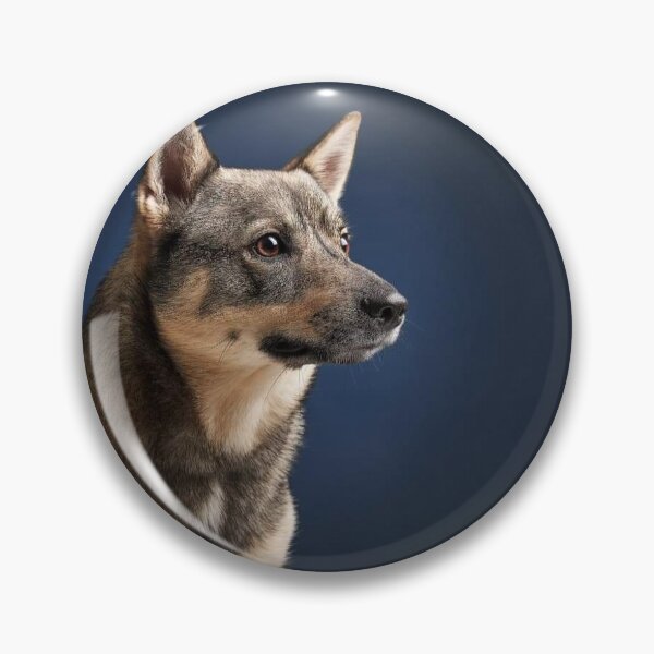 Item preview, Vallhund profile  designed and sold by TheVallhundStop.