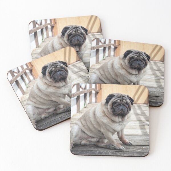 Item preview, Funny Chubby Pug Dog Sitting on Wooden Bridge Portrait designed and sold by LRPhotoart.