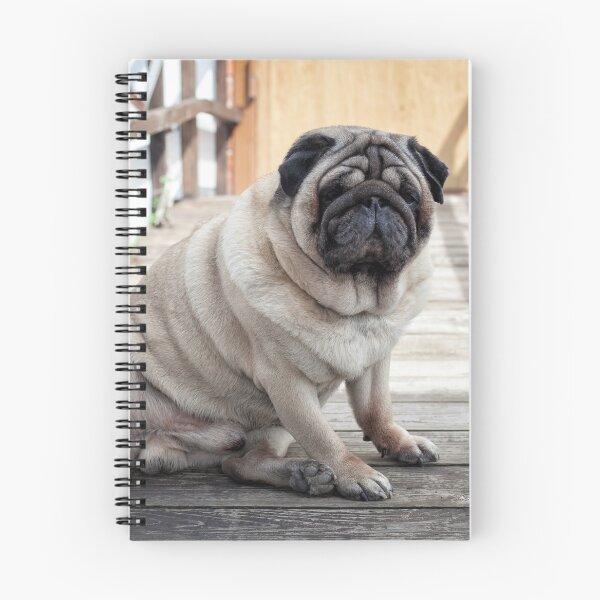 Item preview, Funny Chubby Pug Dog Sitting on Wooden Bridge Portrait designed and sold by LRPhotoart.