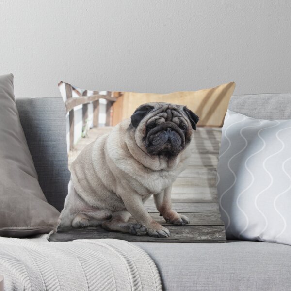Item preview, Funny Chubby Pug Dog Sitting on Wooden Bridge Portrait designed and sold by LRPhotoart.