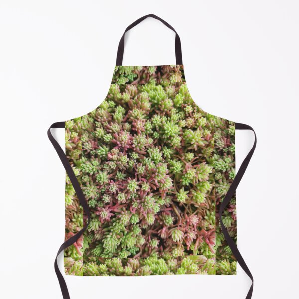 Item preview, Stonecrop photo. Type of sedum designed and sold by Sky-99.