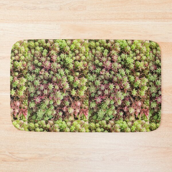 Item preview, Stonecrop photo. Type of sedum designed and sold by Sky-99.