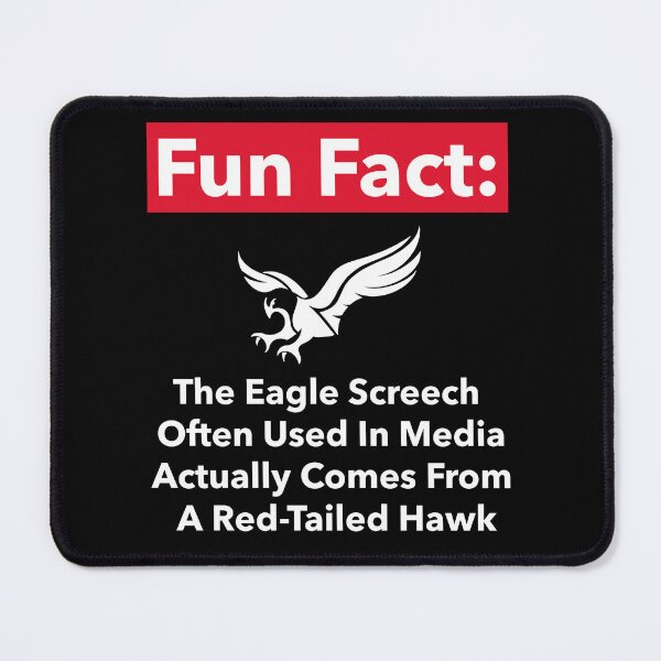 Item preview, A Fun Fact On Eagles In Media designed and sold by CrackedTuskTees.