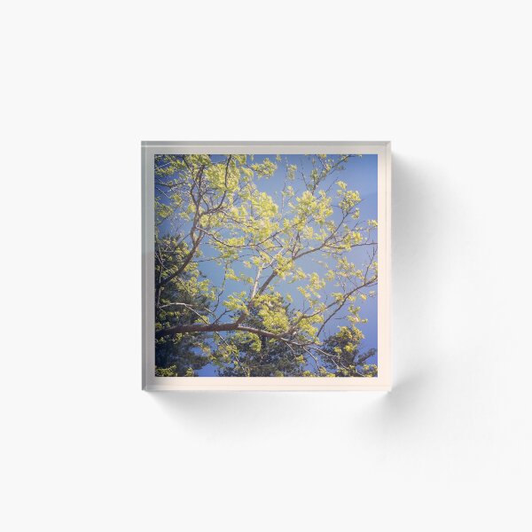 Item preview, Yellow delight designed and sold by Tamar Stanford.