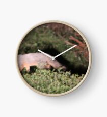 Fox Clock