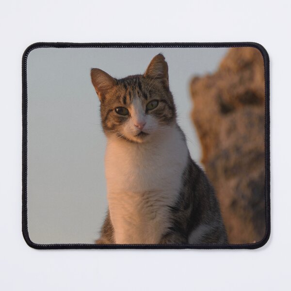 Item preview, Beautiful Morning, Isn't It? designed and sold by Kasia Design.