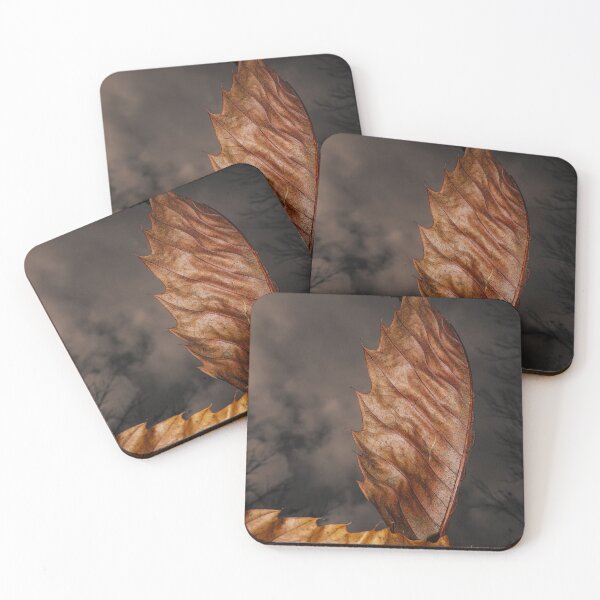 Item preview, AUTUMNAL LEAF BOAT designed and sold by Richard Brookes Photography.