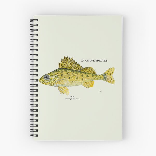 Item preview, Ruffe Painting designed and sold by Stephen Emms.