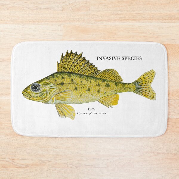 Item preview, Ruffe Painting designed and sold by Stephen Emms.