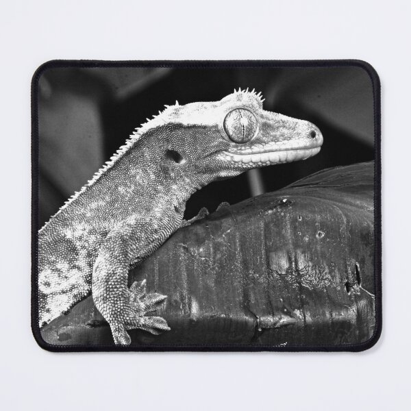 Item preview, Mr. Lizard on His Quiet Leaf designed and sold by mrpropcake.