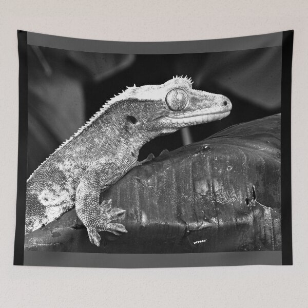 Item preview, Mr. Lizard on His Quiet Leaf designed and sold by mrpropcake.