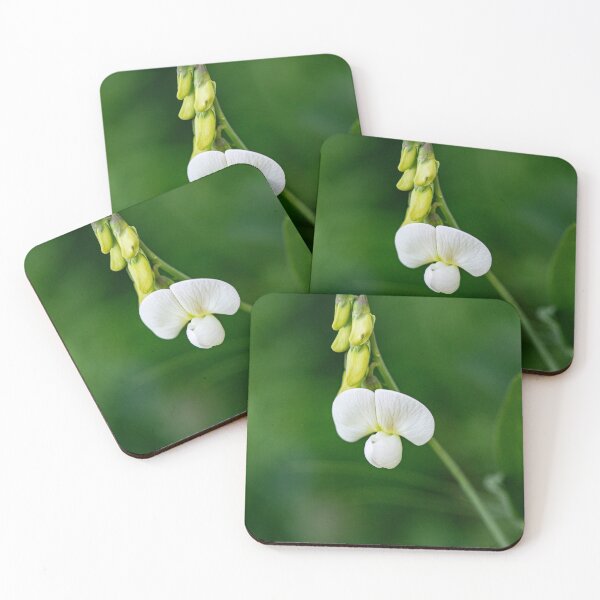 Item preview, White Sweet Pea Bloom | Lathyrus odoratus designed and sold by kngfrank.