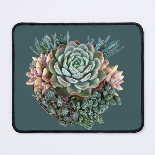 Item preview, Colourful succulent arrangement designed and sold by Poplartree.