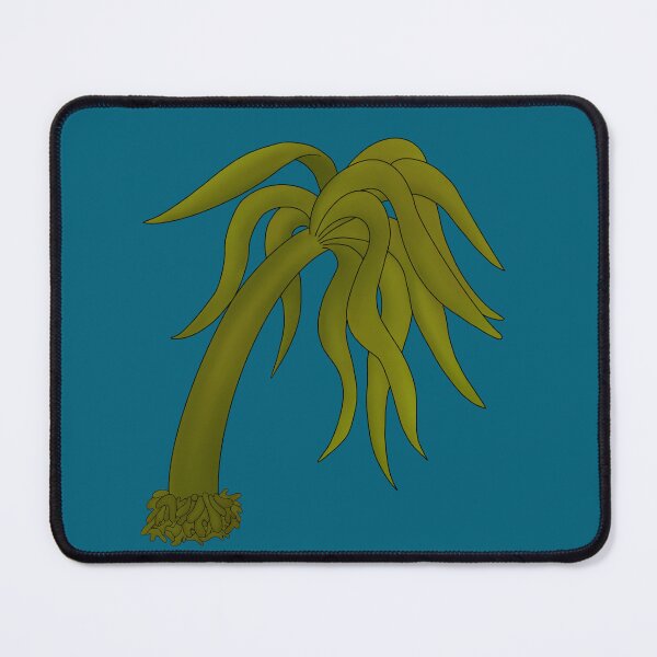 Item preview, Postelsia Kelp - Sea Palm designed and sold by WestCoastWoods.