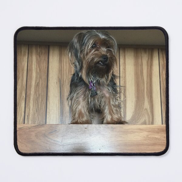 Item preview, Dixie designed and sold by Littlerose40.
