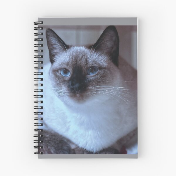 Aperçu de l'œuvre Race de chat créée et vendue par StylishDecor.
