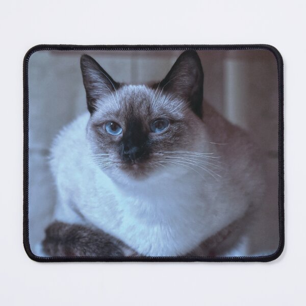 Item preview, Breed Cat designed and sold by StylishDecor.