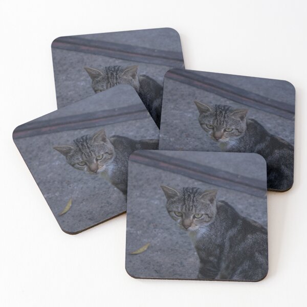Item preview, Grey Cat designed and sold by ROSE ANN BANILAR.