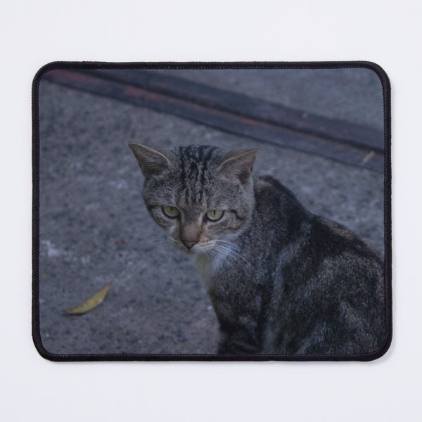 Item preview, Grey Cat designed and sold by ROSE ANN BANILAR.