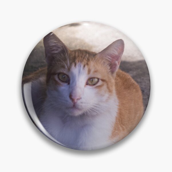 Artikelvorschau, Orange-weiße Katze entworfen und verkauft von ROSE ANN BANILAR.