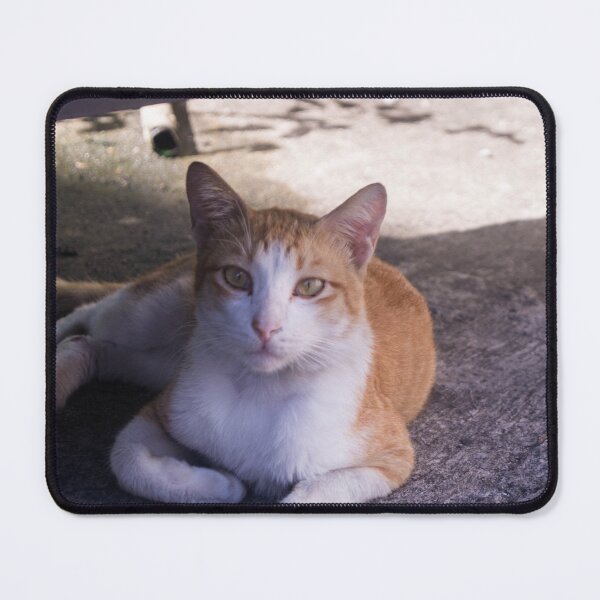 Item preview, Orange White Cat designed and sold by ROSE ANN BANILAR.