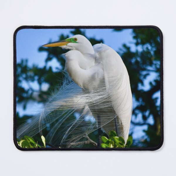 Item preview, Great Egret on a Windy Day designed and sold by richardbryce.