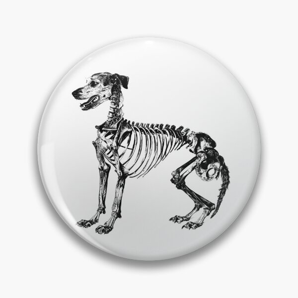 Item preview, Dog Skeleton Anatomy – Black and White Gothic X-Ray Style Illustration designed and sold by inkoutninja.