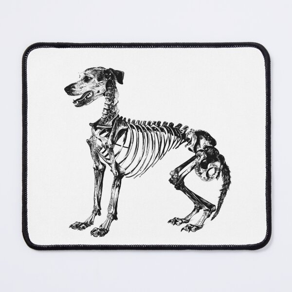 Item preview, Dog Skeleton Anatomy – Black and White Gothic X-Ray Style Illustration designed and sold by inkoutninja.