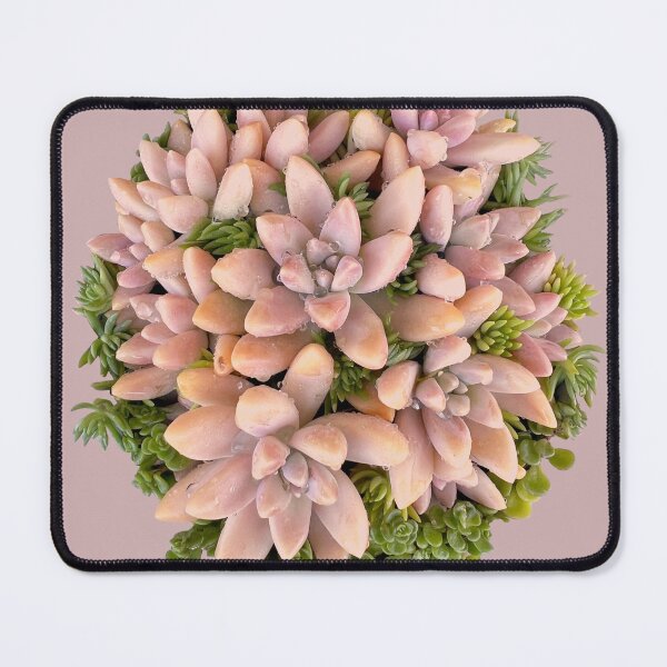 Item preview, Pink Succulents Arrangement designed and sold by Poplartree.