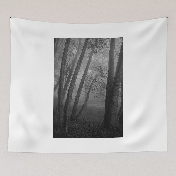Item preview, _SSK 9258 Mystery Beyond Gloom. bw designed and sold by Sunil Kapadia.