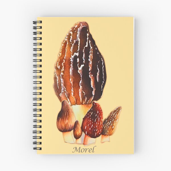 Item preview, Morel Mushrooms designed and sold by CatsPa.