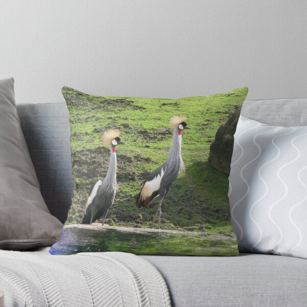 Item preview, African Crowned Cranes birds 018 designed and sold by pasta26mc.
