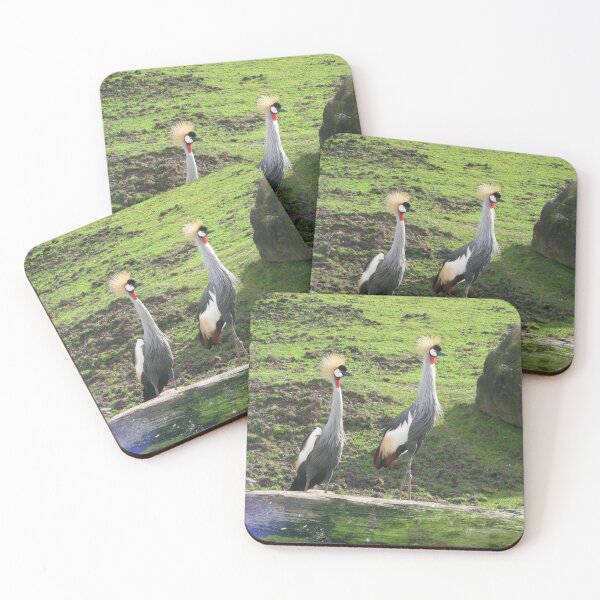 Item preview, African Crowned Cranes birds 018 designed and sold by pasta26mc.