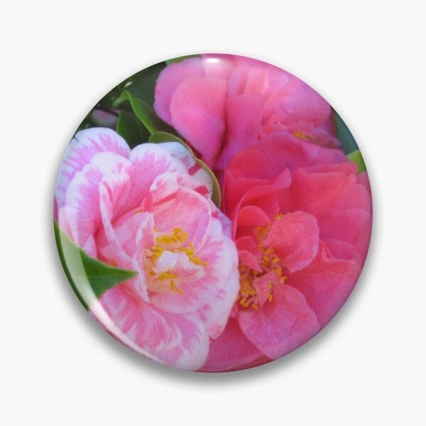 Item preview, Two Herme Camellias, Lovely Yet Unique on the Same Tree Circle Die Cut designed and sold by JoyousArt4u.