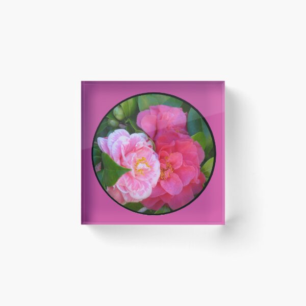 Item preview, Two Herme Camellias, Lovely Yet Unique on the Same Tree Circle Die Cut designed and sold by JoyousArt4u.