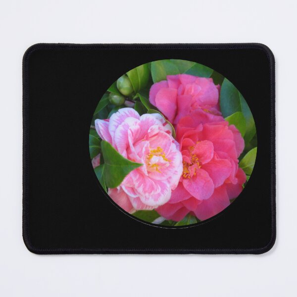 Item preview, Two Herme Camellias, Lovely Yet Unique on the Same Tree Circle Die Cut designed and sold by JoyousArt4u.